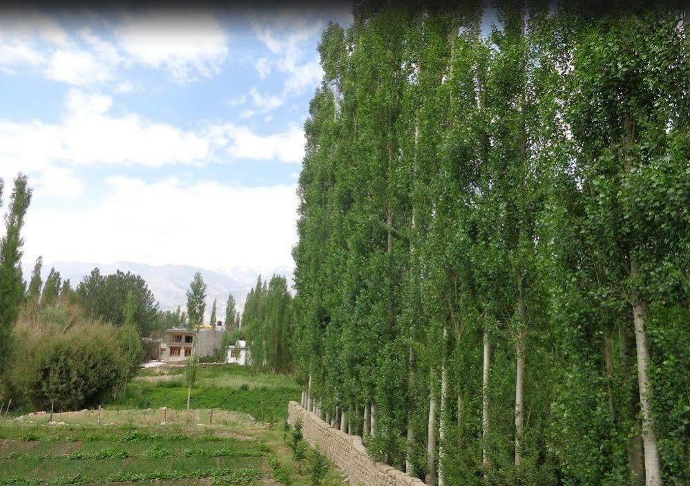 Hotel Ladakh Heaven Leh Dış mekan fotoğraf