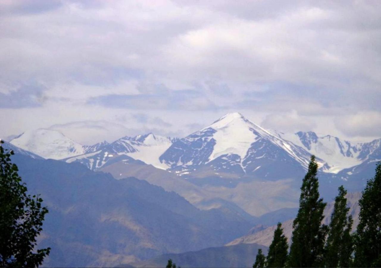 Hotel Ladakh Heaven Leh Dış mekan fotoğraf
